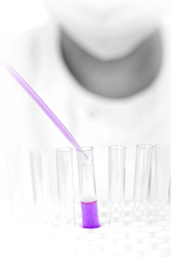 lab45 lab45